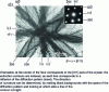 Figure 13 - Extinction contours for a spherical cap-shaped area of the slide (light background)