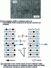 Figure 20 - Antiphase walls