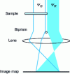 Figure 22 - Principle of electronic holography