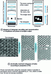 Figure 23 - Electron holography, clichés H. Lichte, University of Dresden [24]