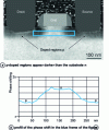 Figure 24 - Potential distribution in semiconductors. Electron holography shows the potential in the doped regions below in the figure of the drain, source and gate of the metal-oxide field-effect transistor (MOSFET), cliché H. Lichte, Dresden University [26]