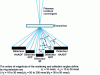 Figure 26 - Schematic diagram of STEM detectors for elastically scattered electrons