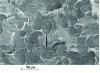 Figure 2 - Fractography of an XC12 ferritic steel showing a cleavage facies with "rivers".