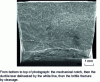 Figure 3 - Fracture surface obtained at the bottom of the ductile-fragile transition