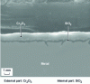 Figure 10 - Protective layer formed at 900°C on ferritic stainless steel containing 17% chromium and 0.5% silicon 