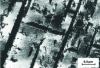 Figure 30 - Stacking faults formed by the propagation of partial dislocations in a low-energy austenitic stainless steel with a cfc structure (IRSID photo).