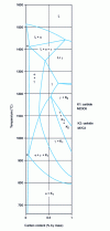 Figure 11 - 17% chromium iron-chromium pseudobinary diagram, from [16]