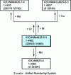 Figure 20 - Main austenitic-ferritic stainless steels derived from grade X2CrNiMoN22-5-3 (2205/S31803)