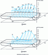 Figure 1 - Segregation profiles in a 1,300 kg ingot of HS18-0-1 high-speed steel