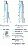 Figure 2 - Solidification of a 1,270 kg ingot in X210Cr12 steel