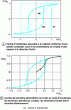 Figure 9 - Hysteresis due to magnetization reversal of single-domain particles