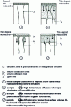 Figure 18 - Diffusion in a polycrystalline sample