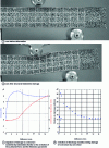 Figure 10 - Evolution of indentation damage