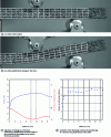 Figure 6 - Developments in the case of plasticization damage to skins