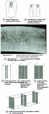 Figure 4 - Macrosegregations (major segregations) of cast products