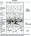 Figure 43 - Diagram of the surface of an oxidized steel (from IRSID )