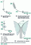 Figure 9 - Thin slab and ribbon casting