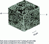 Figure 3 - Three-dimensional scanning electron microscopy of a Ti – 25Al – 10Nb – 3V – 1Mo alloy with superplastic properties at T = 980°C