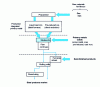 Figure 1 - Simplified diagram of the steel industry