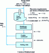 Figure 2 - Average energy balance for the classic mini-mill (based on 6)