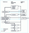 Figure 3 - Various configurations for a new integrated plant