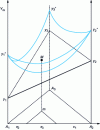 Figure 2 - Calculation of the partial molar quantities y1, y2, y3 from the integral molar quantity Ym (T, P, x2, x3)