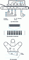 Figure 17 - The Steel Belt pellet cooking process (at the LKAB plant in Malmberget, Sweden)