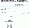 Figure 2 - Average balance of gaseous materials at agglomeration