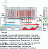 Figure 6 - Coke oven with twin flues and crossed channels – Compound heating (mixed lean gas or rich gas) and cannons (according to manufacturer's documentation)