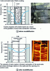 Figure 8 - Schematic diagram of coke formation in a coke oven