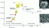 Figure 15 - Combustion mechanisms of a single coal particle