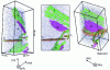 Figure 11 - Tomographic atom probe 3D reconstructions of an Al-Cu-Li-Mg alloy after precipitation treatment, showing the simultaneous presence of several interrelated phases, some metastable, others stable (after [15]).