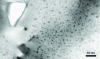 Figure 13 - Microstructure after slow cooling, followed by precipitation treatment, of an Al-Zn-Mg alloy showing a coarse precipitate from quenching surrounded by a precipitate-free zone, and dense, homogeneous precipitates beyond this zone (after [26]).