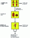 Figure 5 - COREX Association – direct reduction