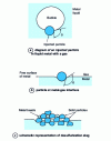 Figure 6 - Particle immersion in metal