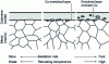 Figure 9 - Copper enrichment mechanism at the metal-calamine interface [21]