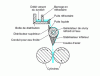 Figure 30 - Feeding a slurry generator to a twin-roll caster, according to British Steel [48]