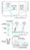 Figure 9 - Position of solidification end point in relation to ingot mould isthmus as a function of roll clamping force [23][24]