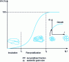 Figure 13 - Static recrystallization kinetics