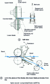 Figure 13 - Edging shears