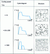 Figure 12 - Structure of continuous annealing steels [5]