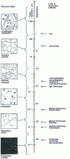 Figure 14 - Microscopy observation scales