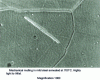 Figure 32 - Phase contrast in optical microscopy