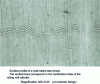 Figure 34 - Bangs in two-beam interferometry