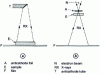 Figure 35 - Microradiography