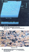 Figure 51 - Zeiss confocal microscope