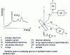 Figure 54 - Scanning electron microscopy with X-ray spectrometry and energy analysis