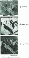 Figure 65 - Electron microprobe analysis