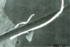 Figure 2 - Scratches and metal chips produced during polishing of medium-hard steel with 600 abrasive paper (American series), using scanning electron microscopy.