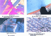 Figure 25 - Dye attacks (photos by Annick Pokorny with video printer)